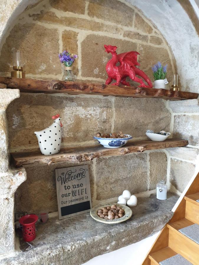 Le Petit Dragon Bed & Breakfast Plumaudan Exterior photo